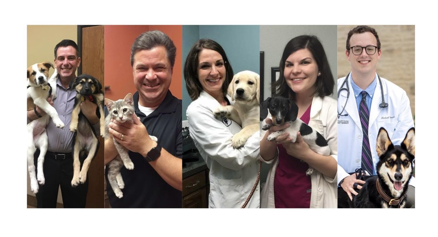 veterinary hospital Plano